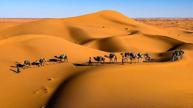 Sahara Desert Tours Offer Adventure and Cultural Insight