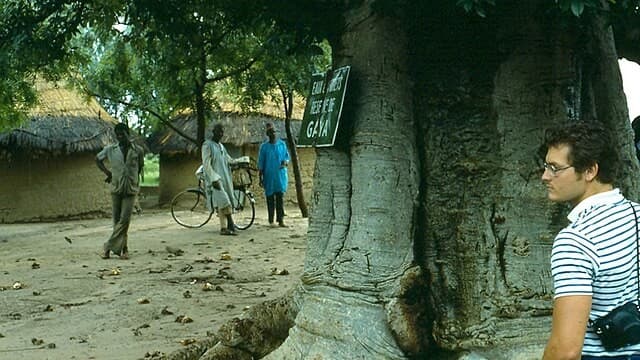 Cultural Tours in Niger Connect Visitors to the Heart of West Africa