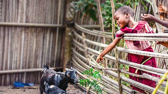 Warm Hospitality Makes Nigeria a Memorable Travel Destination