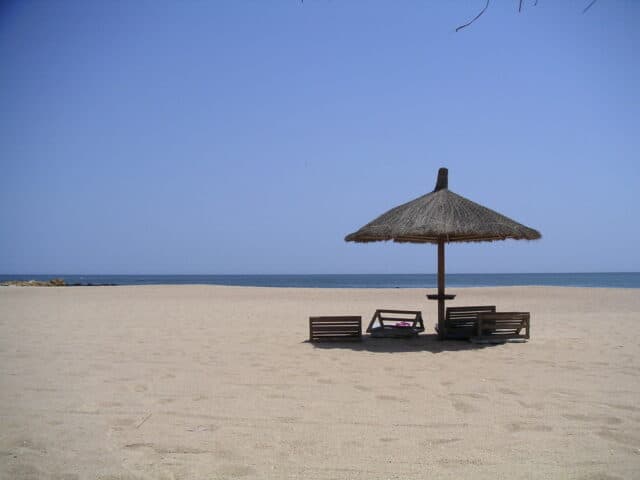 Beaches and Wildlife Make Senegal a Natural Treasure