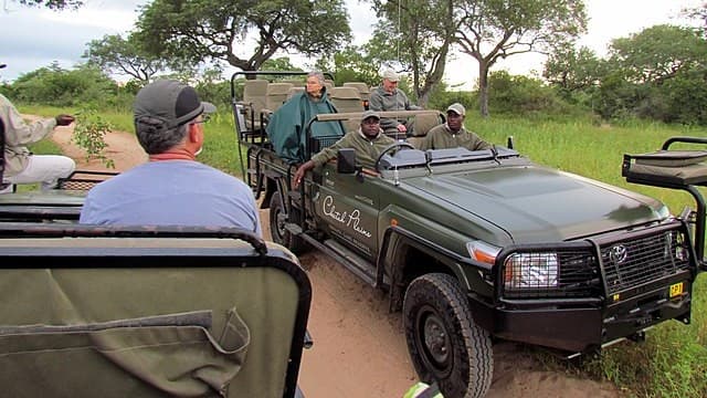 Wildlife Safaris Offer Unmatched Adventure in South Africa’s National Parks
