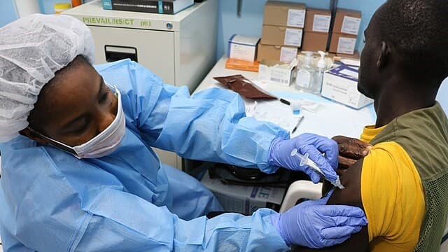The global health system can build back better after US aid cuts – here’s how