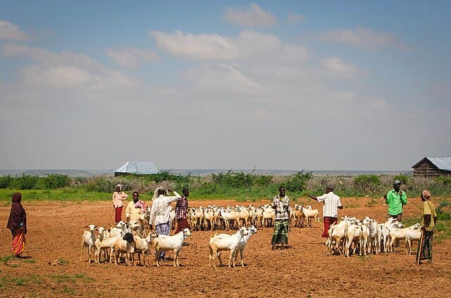West Africa’s trade monitoring system has collapsed - why this is dangerous for food security