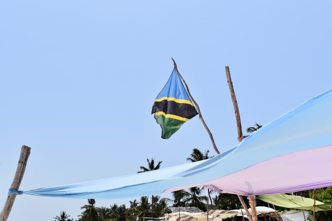 Tanzania's Digital Governance Revolution Transforms Citizen Services