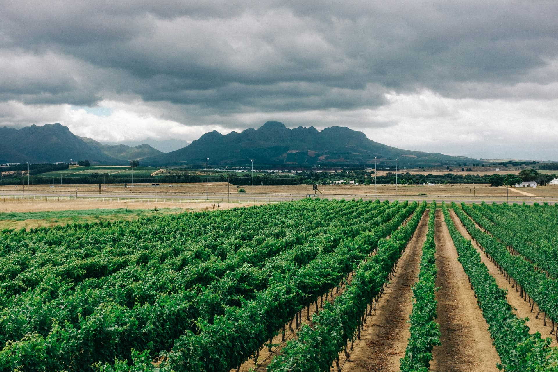Will El Niño drought hit food prices in South Africa? Earlier rains and grain stocks offer hope