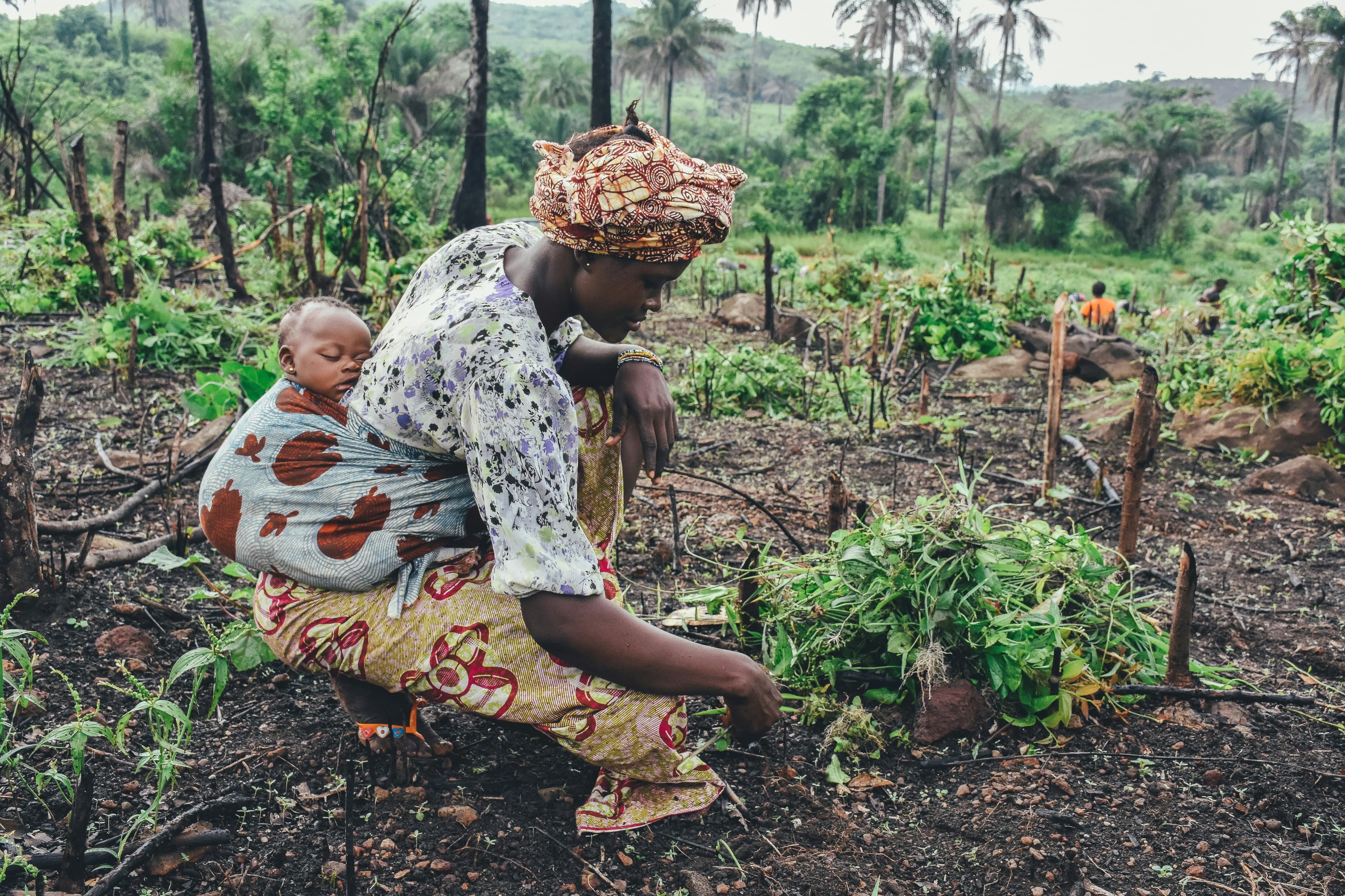 China is funding African farmers but not food processing and storage: why it’s a problem