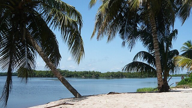 Taï_National_Park_(24148248710)_04