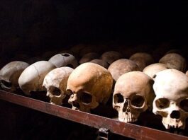 KONICA MINOLTA DIGITAL CAMERA