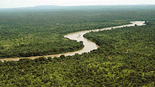 River_gambia_Niokolokoba_National_Park